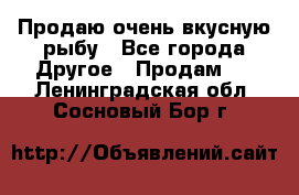 Продаю очень вкусную рыбу - Все города Другое » Продам   . Ленинградская обл.,Сосновый Бор г.